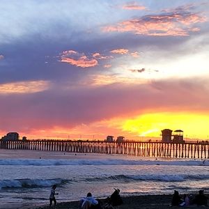 Meet your Posher, Rose